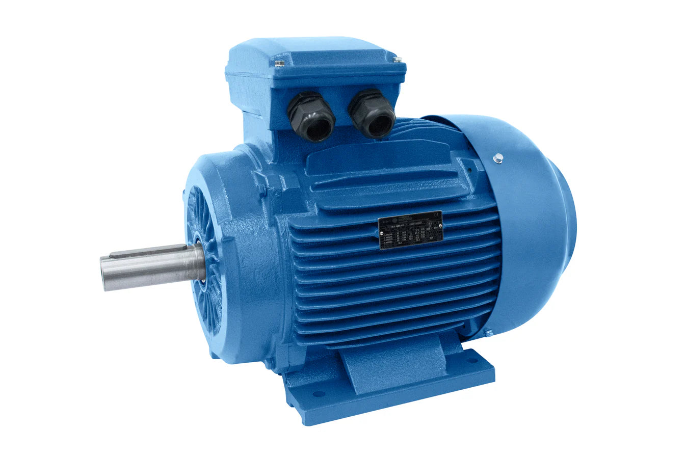 Cast Iron AC Motors